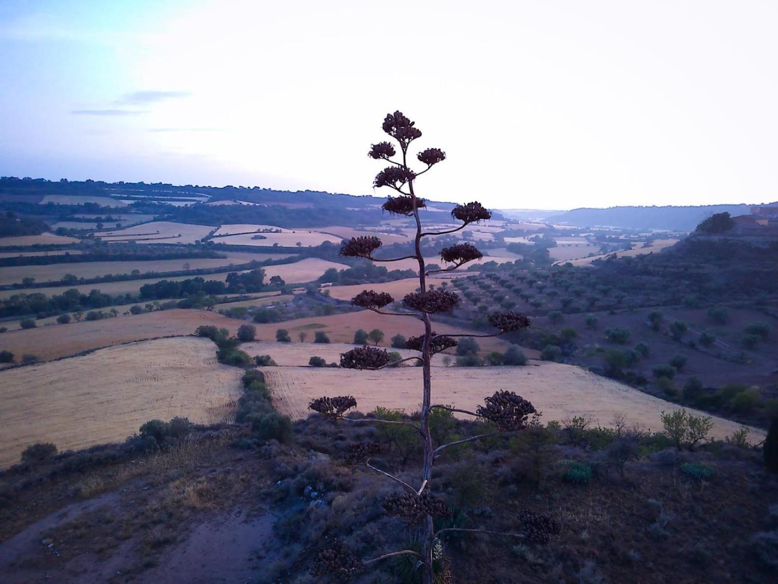 Holiday home Cal Rei Granena de Cervera